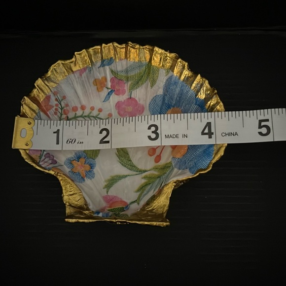 🐚Seashell 🐚 - Picture 5 of 6